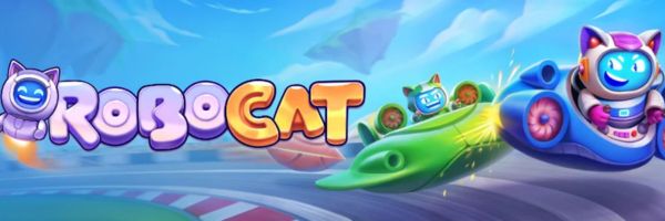 Formularz zlecenia wypłaty w Robocat Casino z licznikiem czasu